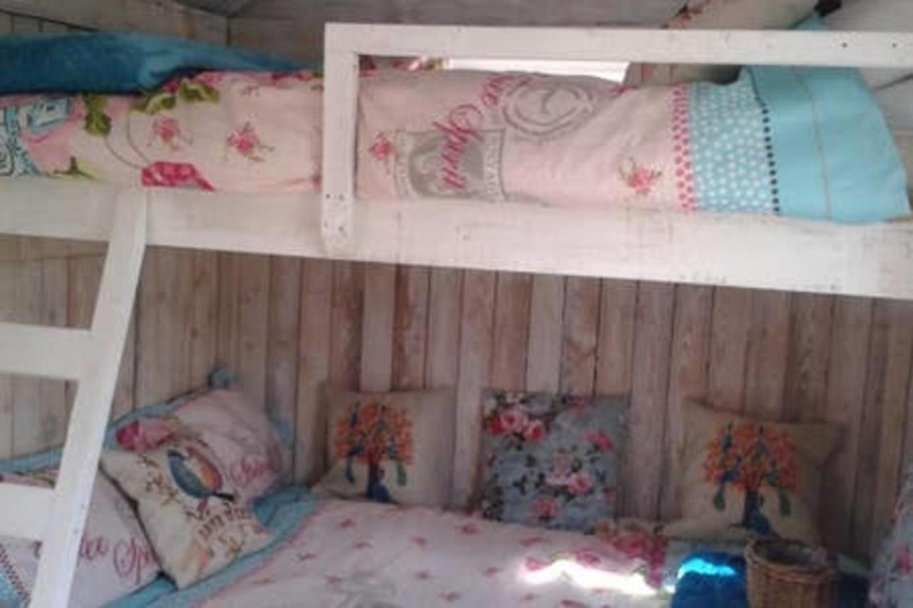 Ruby Shepherds Hut Sleeps 4 Rhayader Ngoại thất bức ảnh